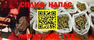 бошки Сланцы