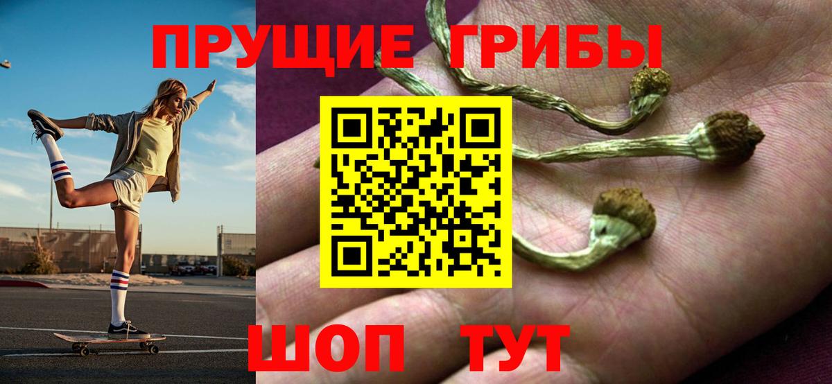 Полысаево  Псилоцибиновые грибы MAGIC MUSHROOMS  Вход с VPN 