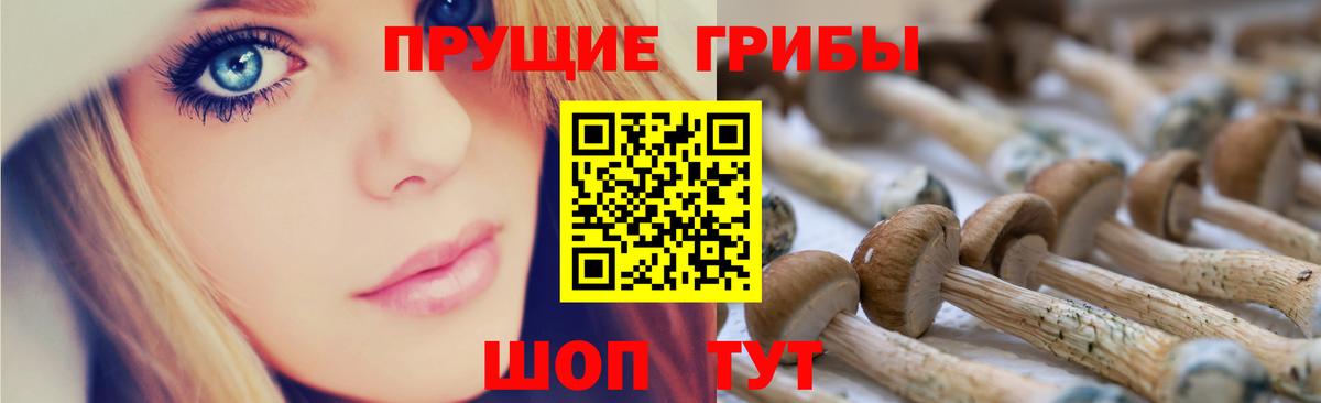 Галлюциногенные грибы мухоморы Полысаево